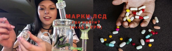 крисы Вязники