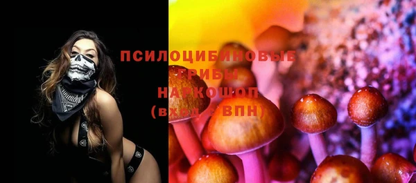 крисы Вязники