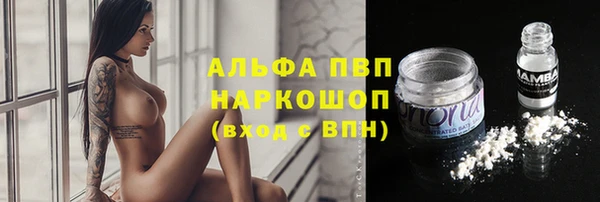 круглые Вяземский