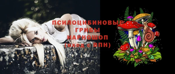 круглые Вяземский
