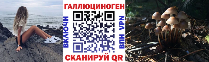 Купить закладки  Нижняя Тура  Галлюциногенные грибы MAGIC MUSHROOMS 